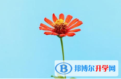 樂山2022年近幾年中考重點線