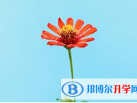樂山2022年近幾年中考重點線