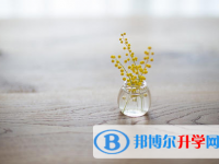 樂山2022年考起重高的人數