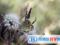 樂山2022年中考考試時間