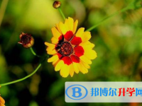 樂山2022年中考報考攻略