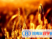 樂山2022年中考報考指南