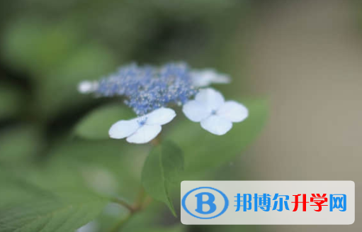 樂山2022年中考報名系統