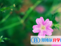 樂山2022年中考成績(jī)什么時(shí)候公布