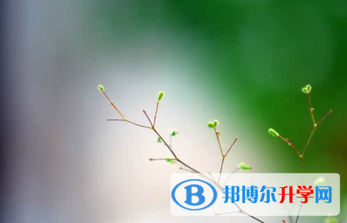 樂山2022年中考規則