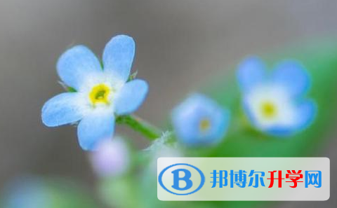 樂山2022年中考考點