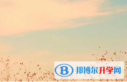 樂山2022年中考考點(diǎn)有哪幾個(gè)