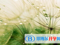 樂山2022年中考考生人數