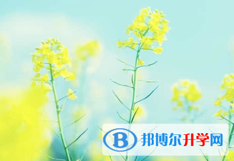 樂山2022年中考錄取規劃線