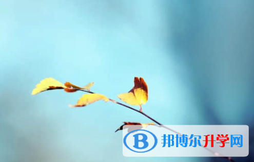 樂山2022年中考錄取結果