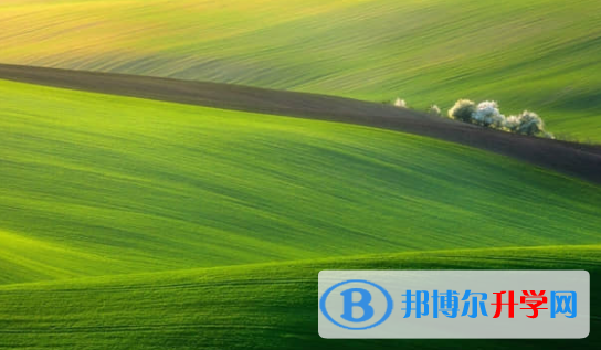 樂山2022年中考沒考上可以復讀嗎