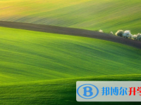 樂山2022年中考沒考上可以復讀嗎