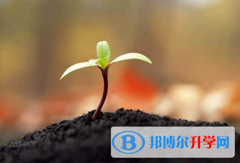 樂山2022年中考失利