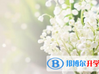樂山2022年中考體考成績(jī)查詢