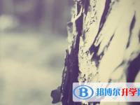 樂山2022年中考填志愿統招和調劑