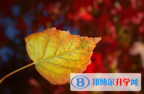 樂山2022年中考網報