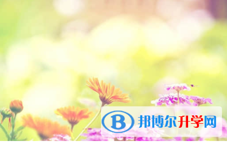 樂山2022年中考網(wǎng)絡(luò)服務(wù)應(yīng)用平臺(tái)