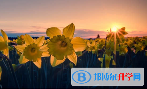 樂山2022年中考網絡應用服務平臺