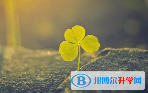 樂山2022年中考網(wǎng)上查詢