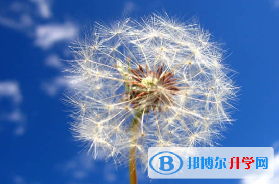 樂山2022年中考閱卷安排