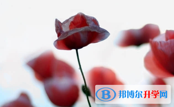 樂(lè)山2022年中考怎么改志愿