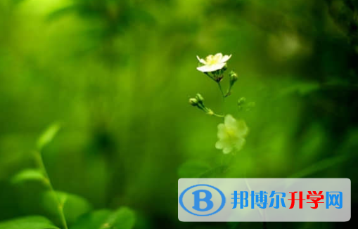 樂山2022年中考怎樣改志愿
