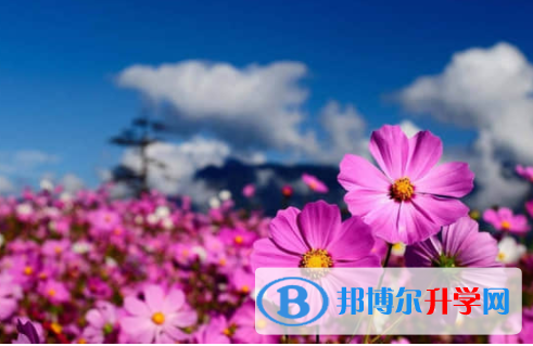 樂山2022年中考怎樣調劑