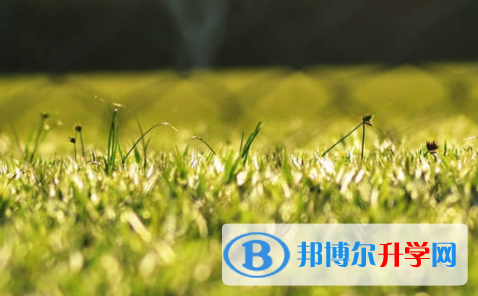 樂山2022年中考招生考試查詢系統