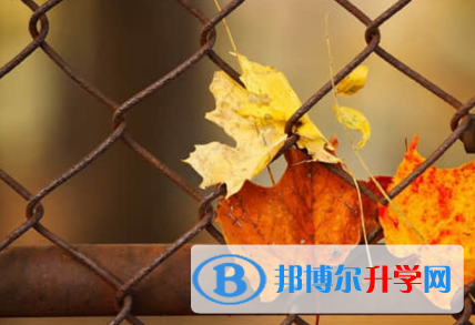 樂山2022年中考招生網絡應用服務平臺