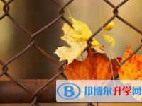 樂山2022年中考招生網(wǎng)絡(luò)應(yīng)用服務(wù)平臺
