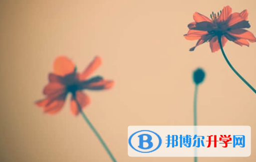 樂山2022年中考志愿官網(wǎng)