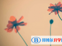 樂山2022年中考志愿官網