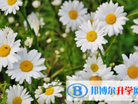 樂山2022年中考準考證