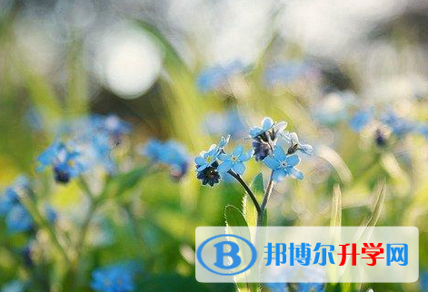樂山2022年中考自主招生情況