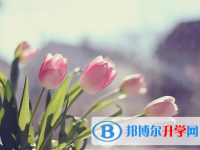 樂山2022年中考招生學校