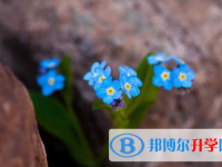 樂(lè)山2022年中考沒有考上怎么辦