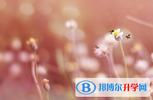 樂山2022年中考報名自薦信怎么寫