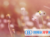 樂(lè)山2022年中考報(bào)名自薦信怎么寫