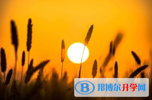 樂山2022年怎么寫中考自薦書