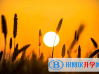 樂(lè)山2022年怎么寫中考自薦書