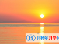 樂(lè)山2022年如果中考沒考上讀什么好