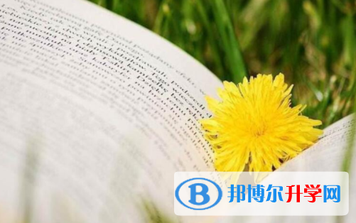 樂山2022年什么是中考調劑生