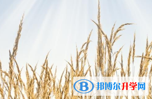 樂山2022年孩子因病錯過中考怎么辦
