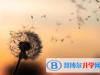 樂山2022年中考報名是哪個網(wǎng)站