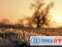 樂山2022年中考報名網(wǎng)站是什么