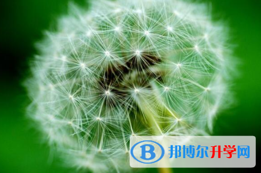 樂(lè)山2022年中考填志愿