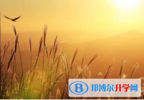 樂(lè)山2022年中考志愿怎么錄取