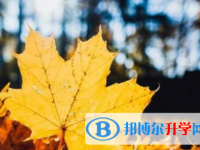 南充2022年中考報(bào)名查詢