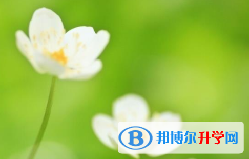 南充2022年中考查詢(xún)成績(jī)網(wǎng)址