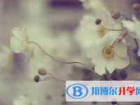 南充2022年中考報(bào)名系統(tǒng)